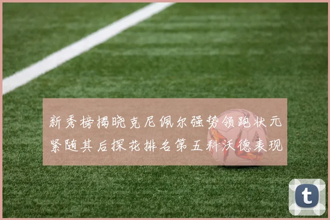 新秀榜揭晓克尼佩尔强势领跑状元紧随其后探花排名第五科沃德表现抢眼位列第三